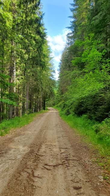 Pick-up from Cluj: e-Mountain Bike Tour Lake Dragan - Authentic Experiences on the Trail
