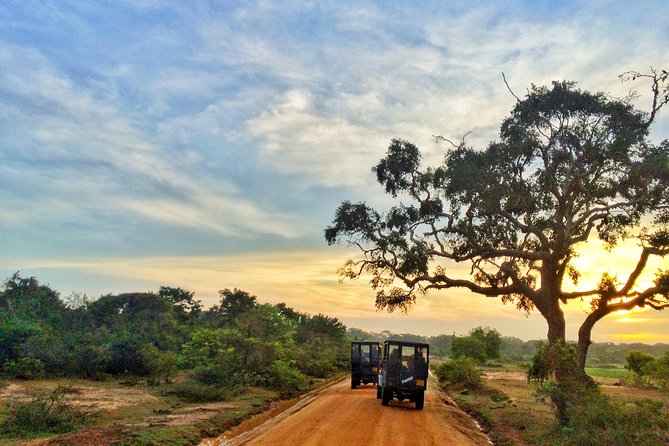 Pick up Hambantota: Udawalawe National Park Adventure - Highlights of the Udawalawe National Park