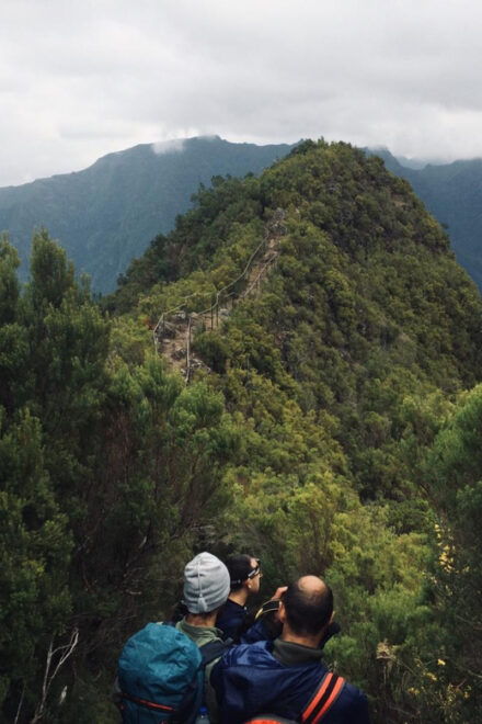 Pick up in Santana to Pico Das Pedras or Achada Do Teixeira - Important Policies