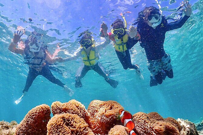 Pick-up OK1~70old99% Snorkelingsea turtles, fish and coral - Frequently Asked Questions