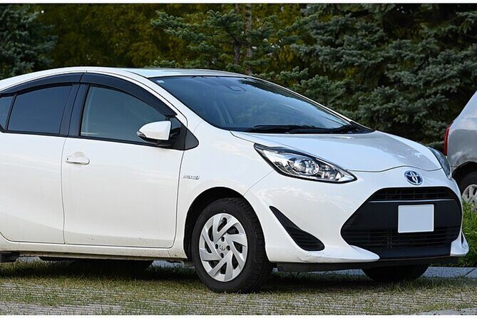 Pick up service from Chinggis khan airport to capital Ulaanbaatar - What To Expect During the Transfer