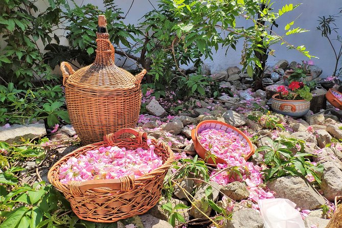 Picking Roses Workshop With Extracting Rose Oil in the Gardens of Karlovo - Frequently Asked Questions