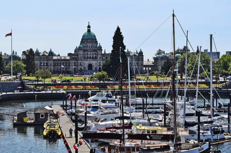 Pickle Pub Crawl: Ferry Rides and Appetizers - Final Thoughts: Who Should Book This Tour?