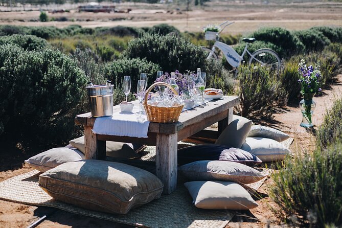 Picnic Among Lavender - Common Questions