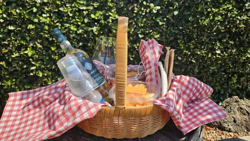 Picnic among the rows of Vernaccia di San Gimignano - Good To Know  