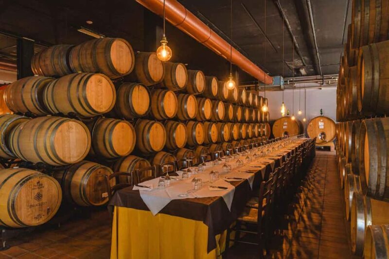 Picnic among the rows of Vernaccia di San Gimignano - Final Words