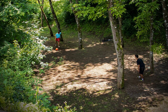 Picnic Area With Barbecue Equipment in Capranica (Vt) - Picnic Area Location and Opening Hours