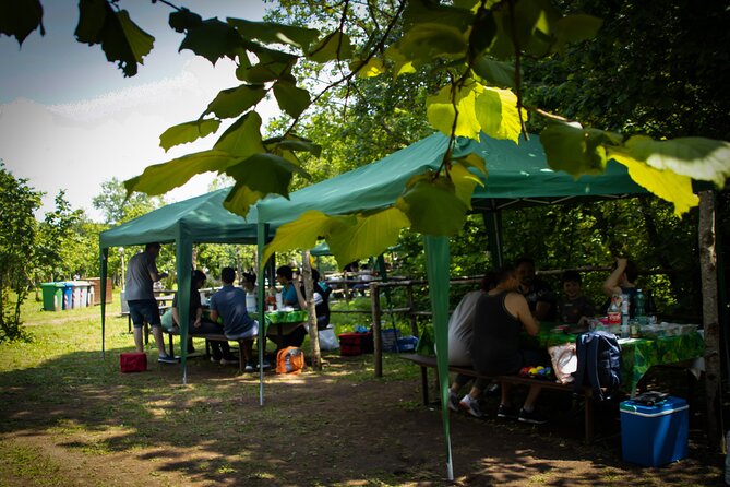 Picnic Area With Barbecue Equipment in Capranica (Vt) - Facilities and Amenities Available