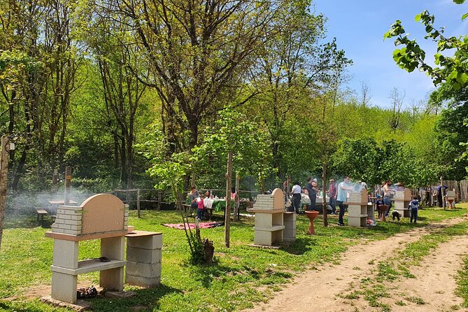 Picnic Area With Barbecue Equipment in Capranica (Vt) - Traveler Photos of the Picnic Area