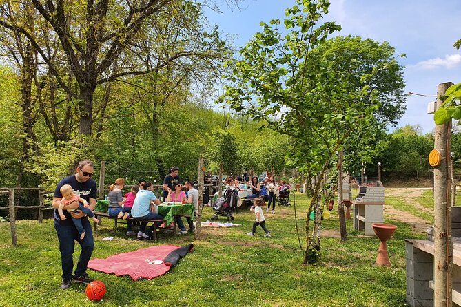 Picnic Area With Barbecue Equipment in Capranica (Vt) - Details of Customer Reviews and Ratings