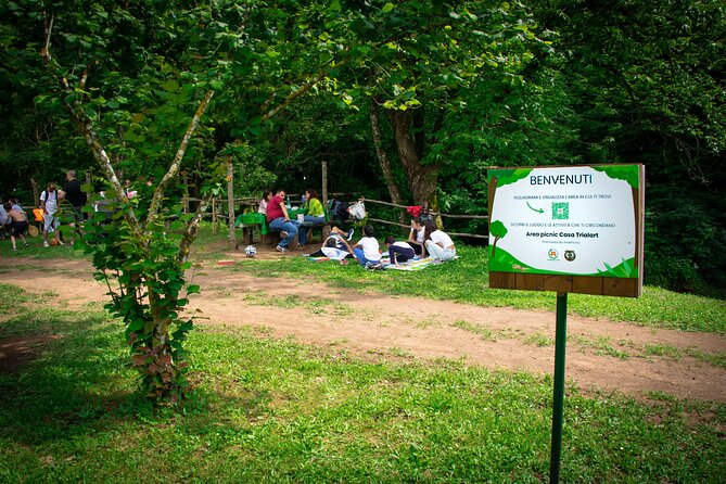 Picnic Area With Barbecue Equipment in Capranica (Vt) - Common Questions