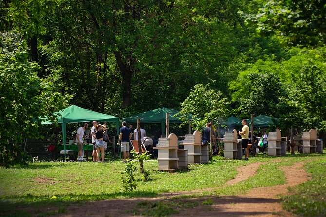 Picnic Area With Barbecue Equipment in Capranica (Vt) - The Sum Up