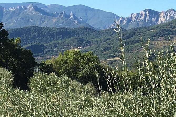 Picnic in Century's Olives Grove Near Matera - Frequently Asked Questions