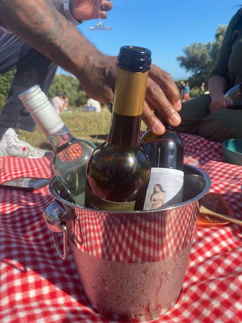Picnic in Lisbon With Local Sommelier - Picnic Features