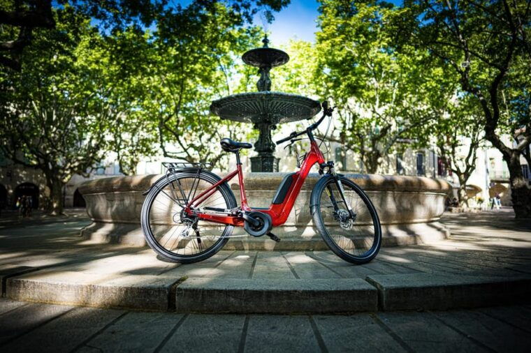 Picnic in the Middle of a Vineyard by E-Bike - Customizable Routes for All Skill Levels