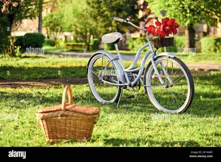 Picnic in the Middle of a Vineyard by E-Bike - Discovering the Dentelles De Montmirail