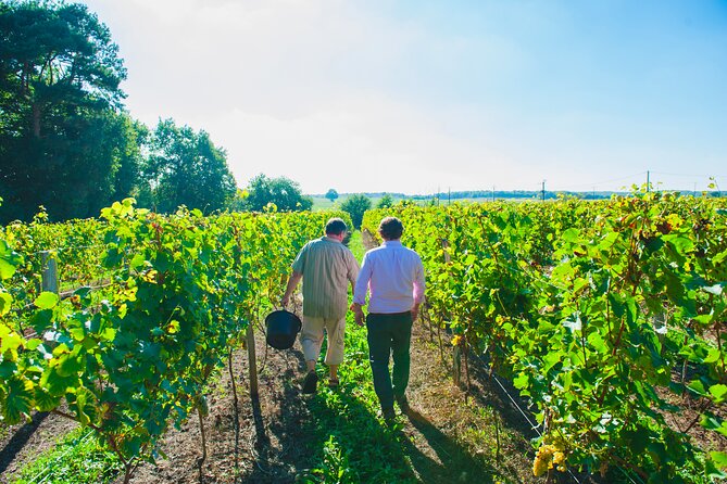 Picnic in the Vines - A Unique Loire Wine Experience - Additional Information and Cancellation Policy