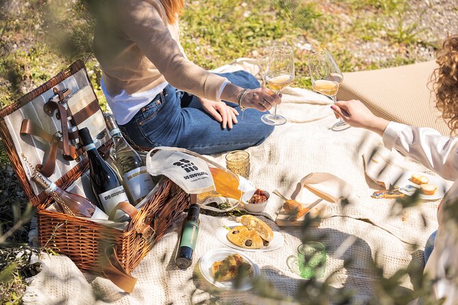 Picnic in the Vineyards - Meeting Point and Start Time