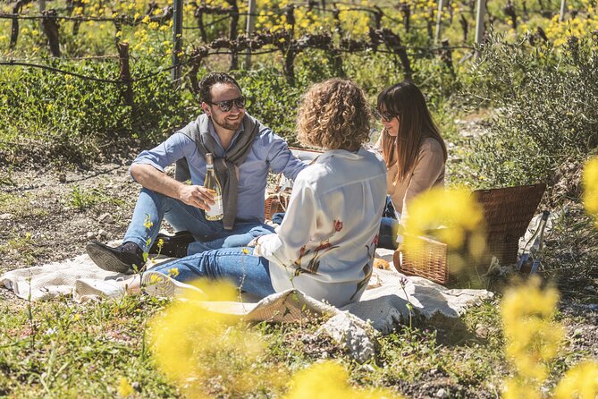 Picnic in the Vineyards - Directions to the Meeting Point