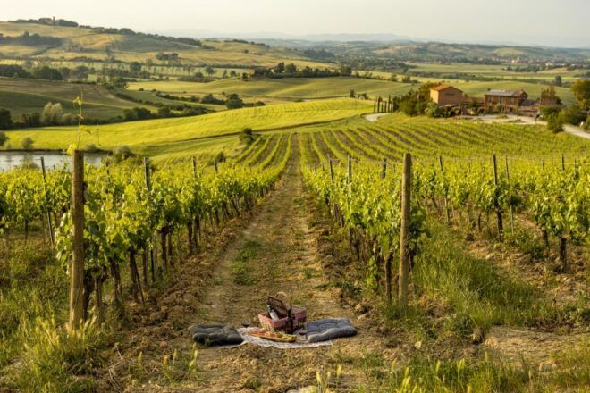 Picnic in Vineyards With Bottle of Brunello Di Montalcino - Duration of the Picnic: 2 Hours
