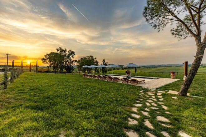 Picnic in Vineyards With Bottle of Rosso Di Montalcino - Additional Tips for Your Picnic