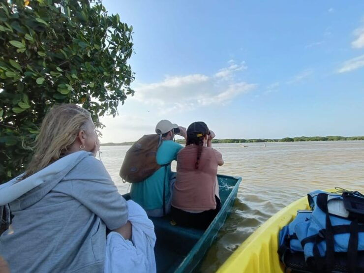 PICNIC ON A SANDBANK + KAYAK ADVENTURE FROM SISAL PUERTO - Itinerary Highlights
