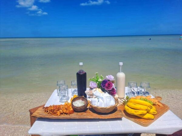 PICNIC ON A SANDBANK + KAYAK ADVENTURE FROM SISAL PUERTO - Experience Highlights