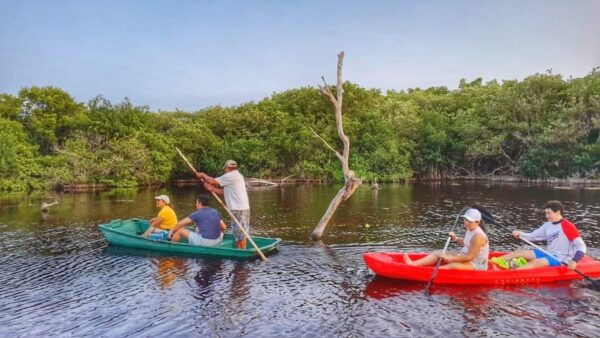 PICNIC ON A SANDBANK + KAYAK ADVENTURE FROM SISAL PUERTO - Frequently Asked Questions