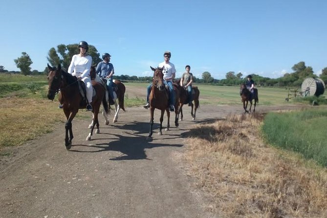 Picnic on Horseback in Rome - Overview and Location