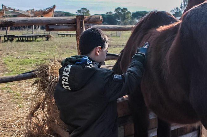 Picnic on Horseback in Rome - What To Expect