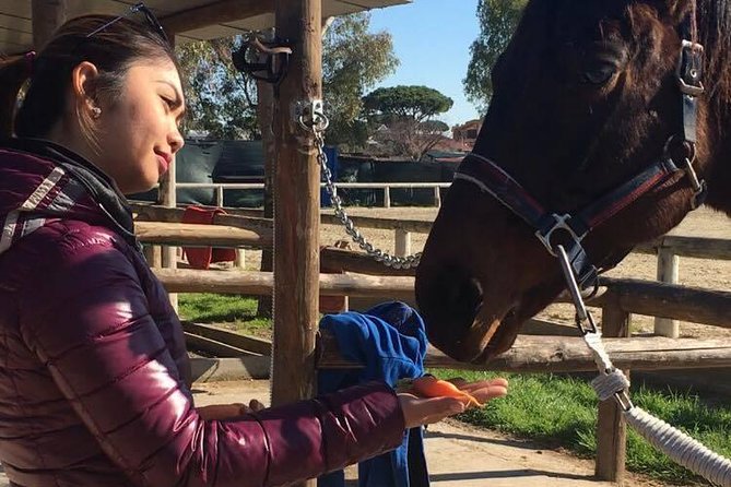Picnic on Horseback in Rome - Additional Information