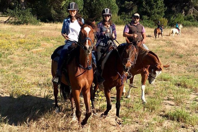 Picnic on Horseback in Rome - Cancellation Policy