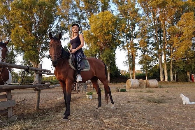 Picnic on Horseback in Rome - Traveler Photos