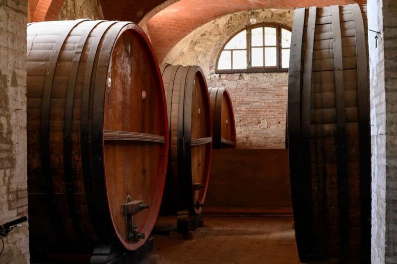 PICNIC on the estate - wine and vineyards - Who Should Consider This Experience?