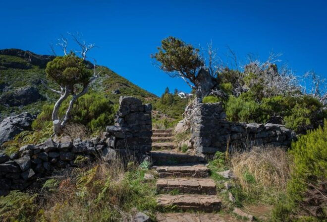 Pico Areeiro to Pico Ruivo Madeira Island Walk - Frequently Asked Questions