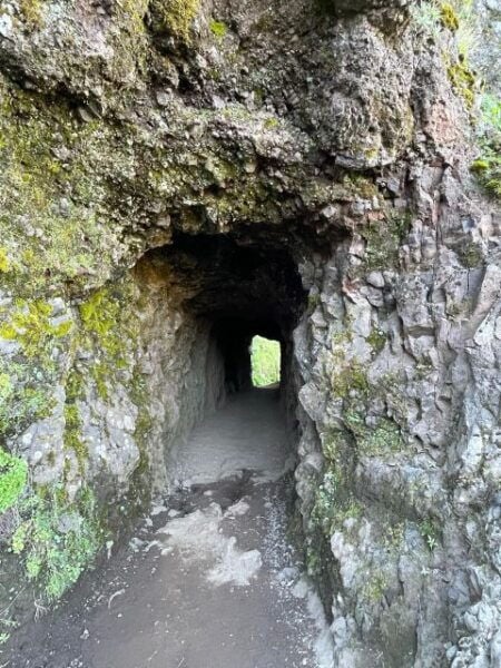 Pico Areiro -Pico Ruivo Hike With Sunrise Overland Madeira - Testimonials and Recommendation