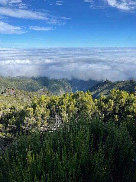 Pico Areiro -Pico Ruivo Hike With Sunrise Overland Madeira - Common Questions