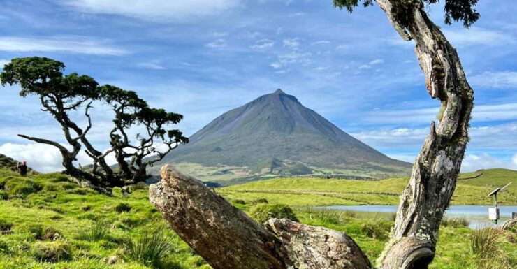 Pico, Azores: Highlights Tour With Wine Tasting and Picnic - Tour Details
