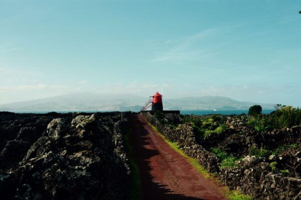 Pico, Azores: Highlights Tour With Wine Tasting and Picnic - Frequently Asked Questions