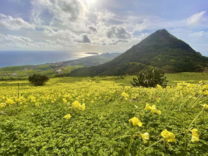Pico Castelo & Pico Facho Vereda: Walk with Spectacular View - Good To Know