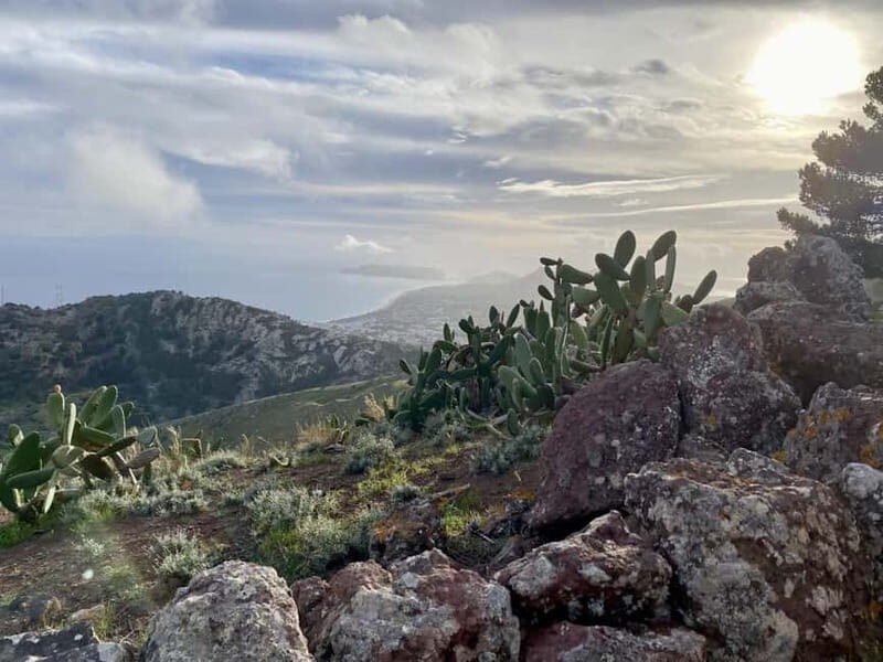 Pico Castelo & Pico Facho Vereda: Walk with Spectacular View - Exploring the Unique Landscape of Porto Santo