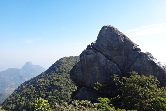 Pico Da Tijuca Trail - Transportation and Amenities