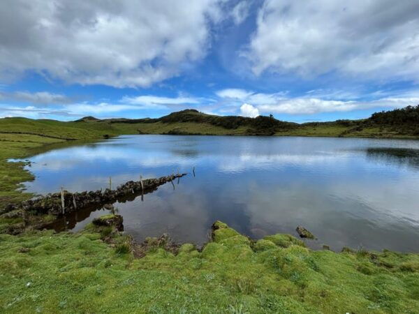 Pico: Discover Pico in 1 Day With Lunch and Wine Tasting - Wine Tasting at Winery