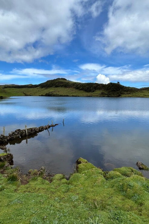 Pico: Discover the Island in 1 Day - Must Sees on Pico - Exploring Pico Island
