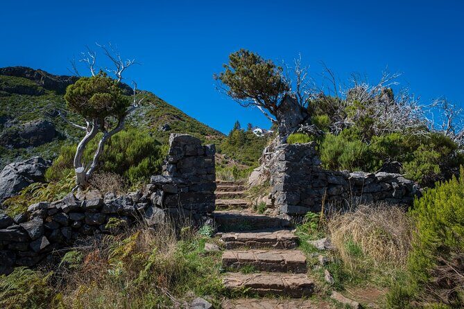 Pico do Areeiro Pico Ruivo Madeira Island Walk - What To Expect During the Tour