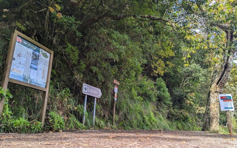 Pico do Arieiro in 4h: Immersive Private Experience (Cabrio) - Good To Know  