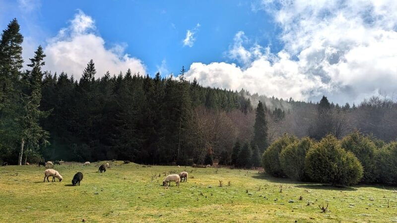 Pico do Arieiro in 4h: Immersive Private Experience (Cabrio) - Who Will Love This Tour?