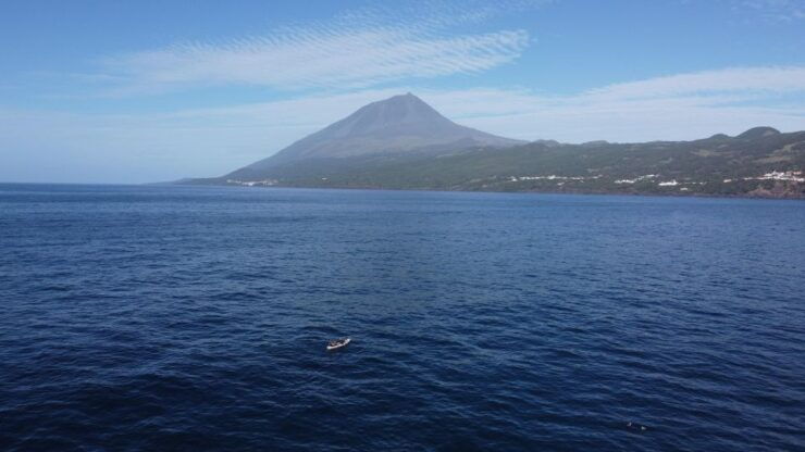 Pico Island, Azores: Guided Kayak and Snorkel Tour - Itinerary