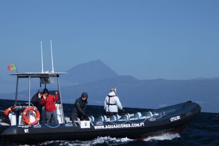 Pico Island: Azores Whale & Dolphin Watching on Zodiac Boat - Activity Details