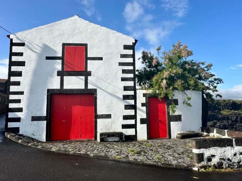 Pico island: discover the volcanic jewel of the Atlantic - Good To Know